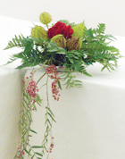 2010_03_12_kotkoji_web