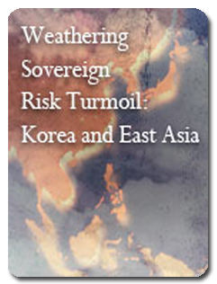 2011 09 29 weathering sovereign risk turmoil icon
