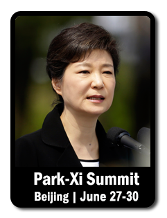 2013 06 27 park-xi summit icon