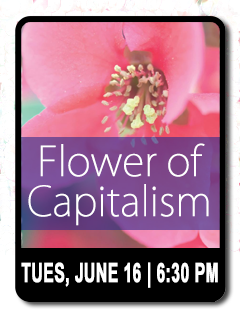 2015 06 16  flower-of-capitalism  icon2